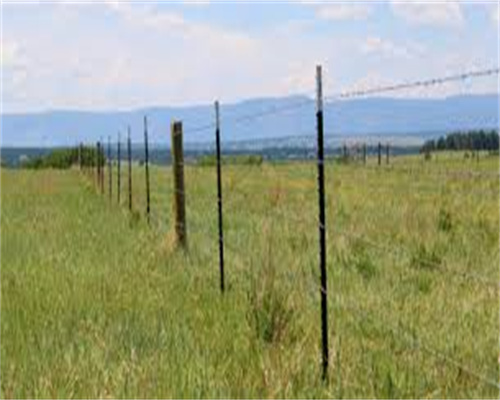 baseball field backstop fencing