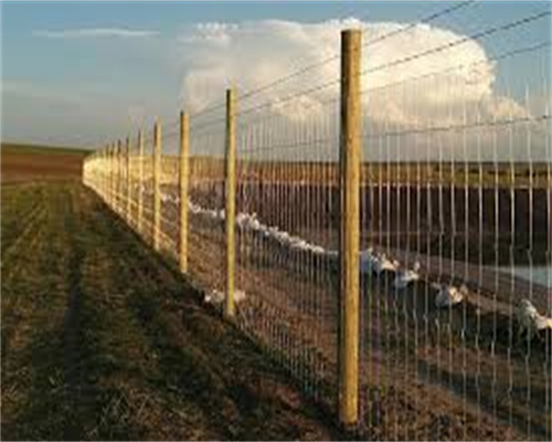 field fence for hogs