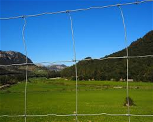 field fence for sheep