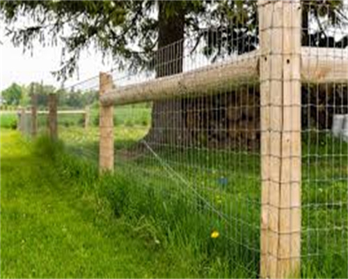 field fencing for dogs