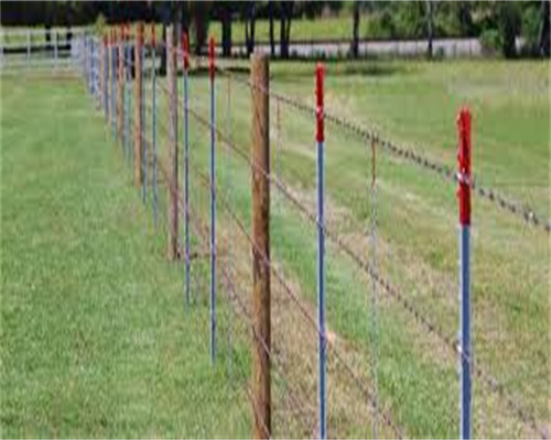 field fence for dogs