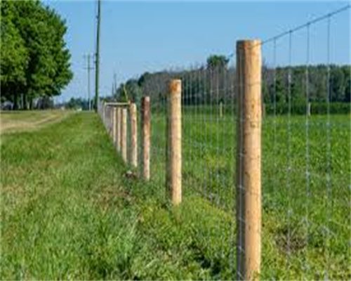 100 ft field fence