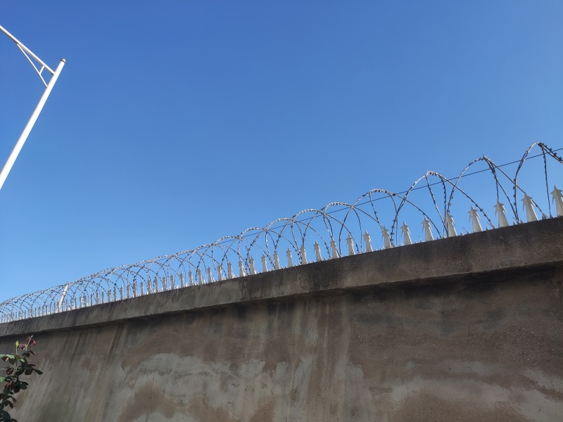 New Anti-Climb Wall Spike with Enhanced Durability for High-Security Facilities
