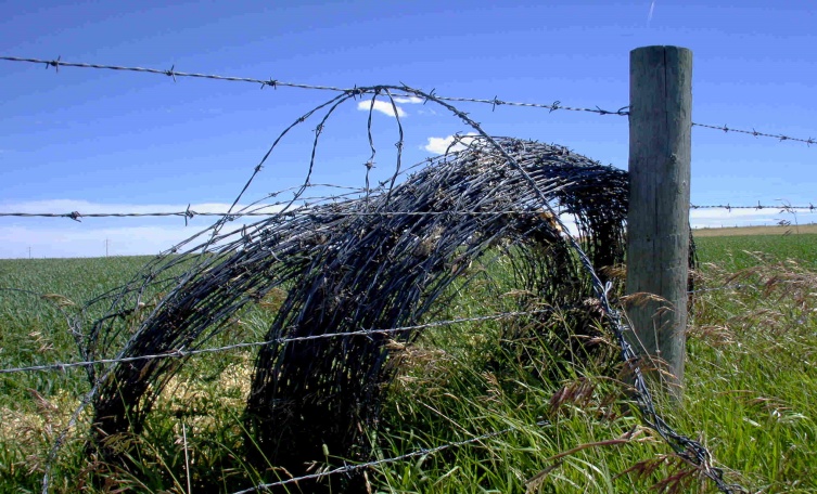 Barbed Wire - High Strength and Sturdy Barbed Wire Mesh | Mclassic Metal