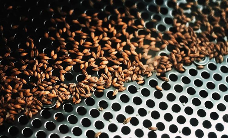 Perfoated Metal Sheets